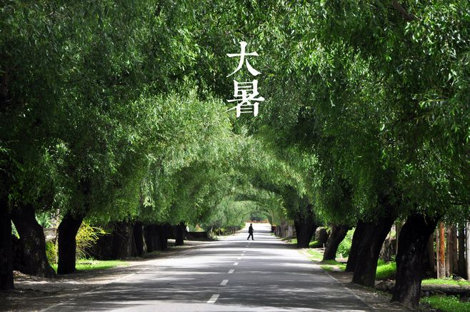 大暑丨葡園消煩暑，夢涼天地寬