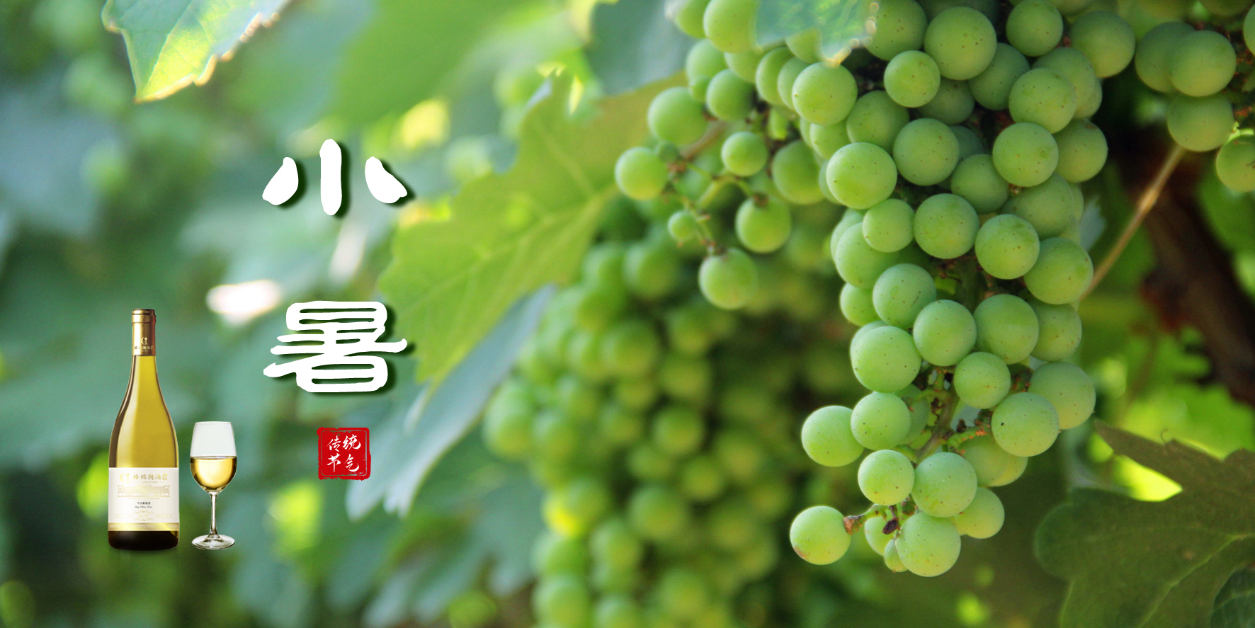 小暑，消暑，你選哪一個(gè)？