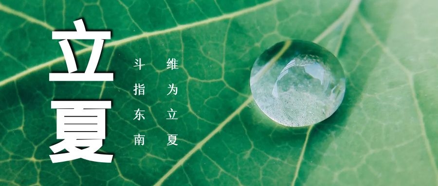 立夏 ▏綠蔭濃，夏日長