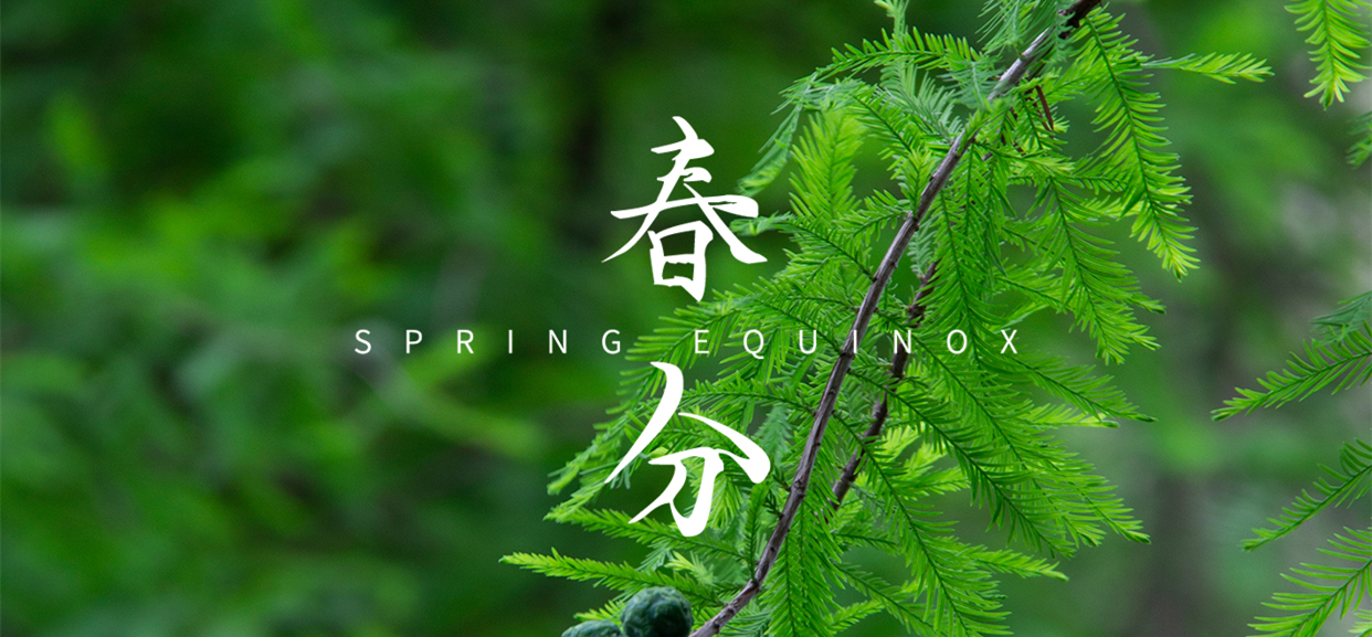 春分 ▎不負春光，萬物生長