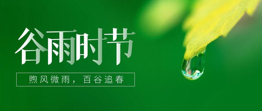 谷雨 ▎雨生百谷，鎖住一抹春色