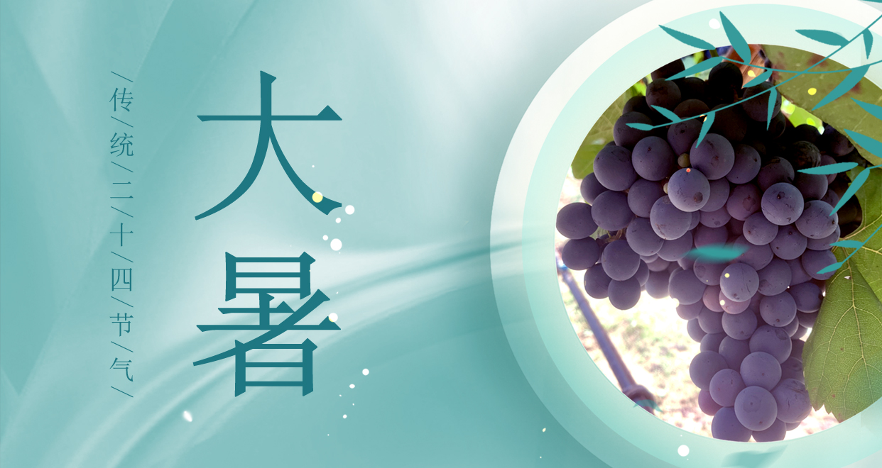 大暑 ▎時(shí)夏三伏盛，葡萄綴滿天