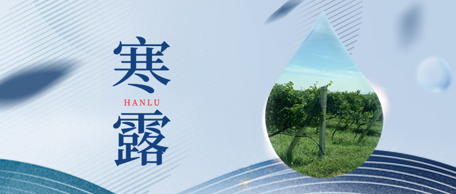 寒露丨夜露凝寒，萬物皆秋