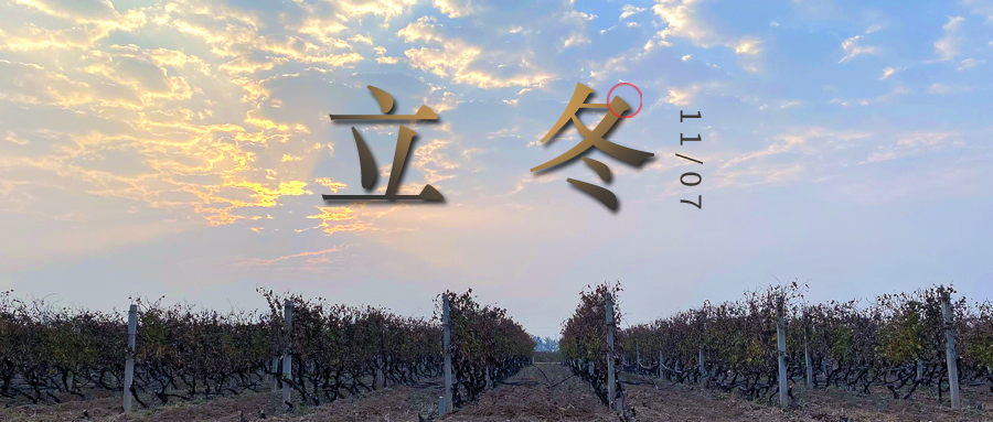 立冬 ▎四時有序，天地歸藏