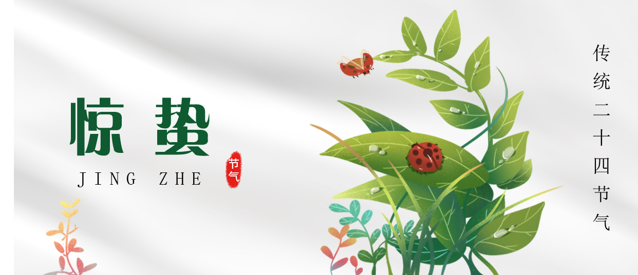 驚蟄 ▎雷鳴春醒，萬物生長