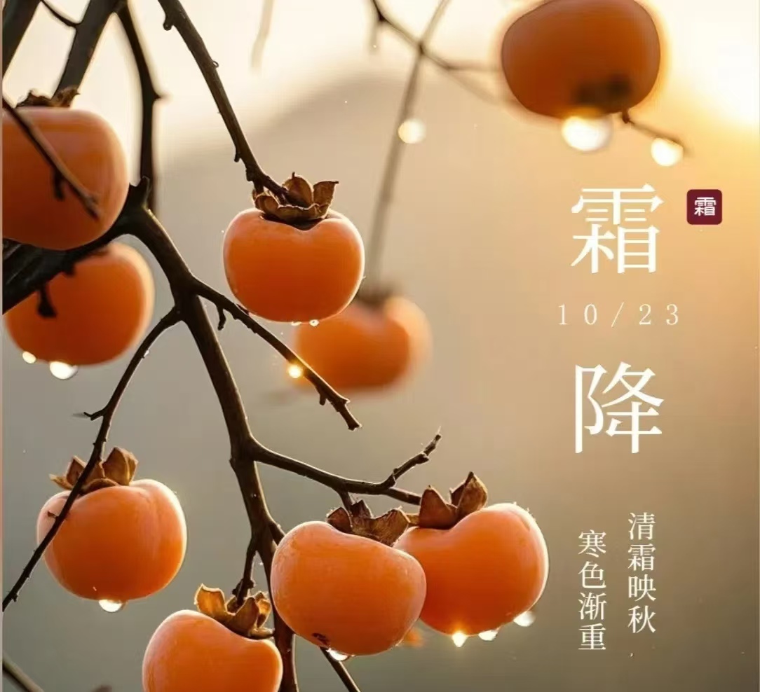 霜降||人間至此秋色盡，草木搖落露為霜